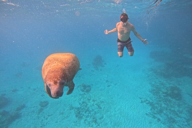 Lets Snorkel Hol Chan the Best Marine Reserve in Belize - Unique Marine Life Encounters