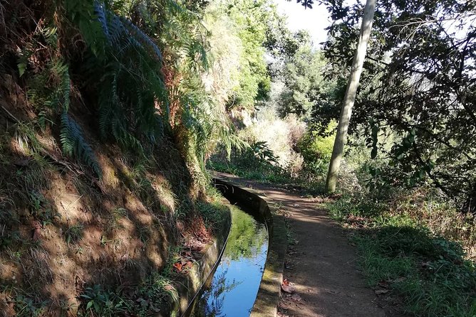 Levada Da Referta - Castelejo - Inclusions of the Tour