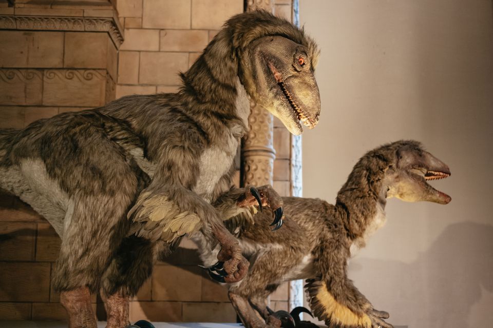 London: Natural History Museum Private Guided Family Tour - Pricing Details