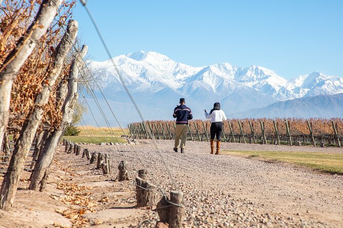 Lujan Deluxe - Full Day - Premium Wine Tour With Gourmet Lunch - Inclusions and Features