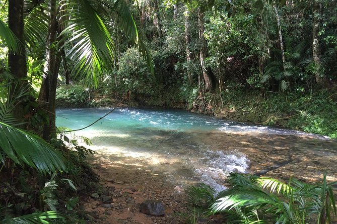 Luxury Daintree - Cape Tribulation Tour From Port Douglas - Inclusions and Amenities