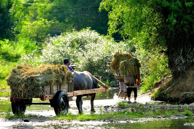 Mai Chau Private Day Tour: Hiking & Biking in Pristine Landscapes - Inclusions and Amenities