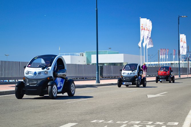 Malaga Highlights by Electric Car With Port Pick up - Meeting Points and Logistics