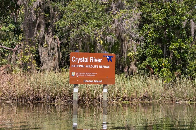 Manatee Snorkeling Crystal River Florida Semi-Private - Whats Included in the Tour