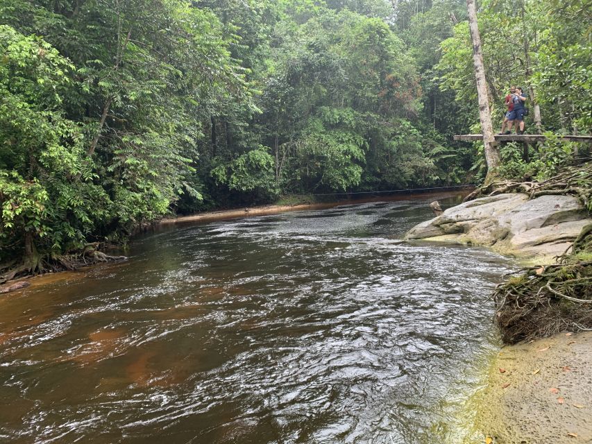 Manaus: Presidente Figueiredo Caves and Waterfalls Tour - Itinerary Details