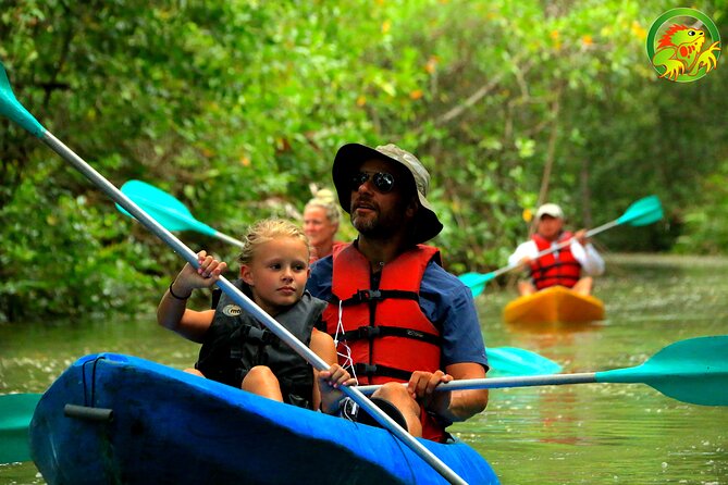 Mangrove Damas Island Kayak Tours - Pricing and Cancellation Policy