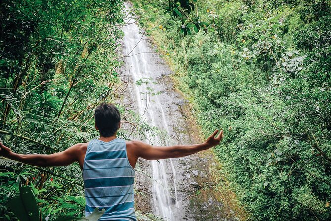 Manoa Waterfall Hike From Waikiki With Healthy Lunch Included - Hiking Experience Highlights