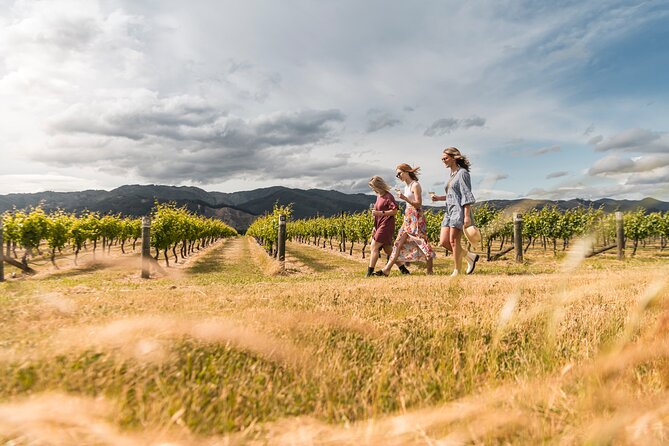 Marlborough Afternoon Wine Tour With Tastings - Wine Tasting Experience