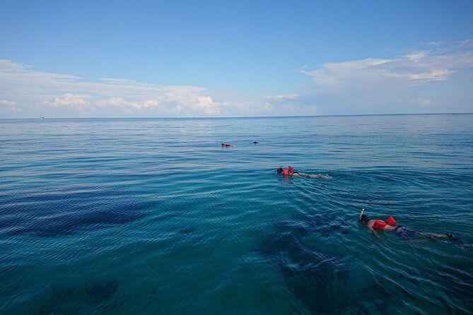 Mexico Rocks Day Sail Shared Guided Tour - Inclusions and Amenities