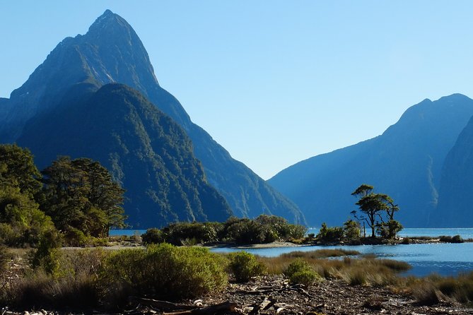 Milford Sound Discovery Tour - Transportation Details