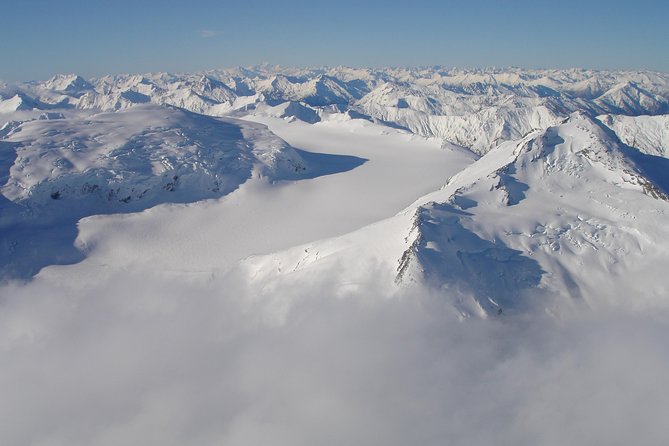 Milford Sound Glacier Flight & Cruise From Wanaka - Flight Details