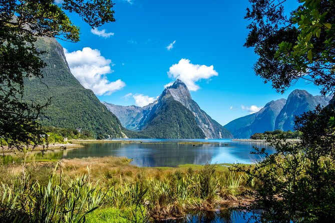 Milford Sound Private Tour With Lunch and Boat Cruise - Unique Tour Experience