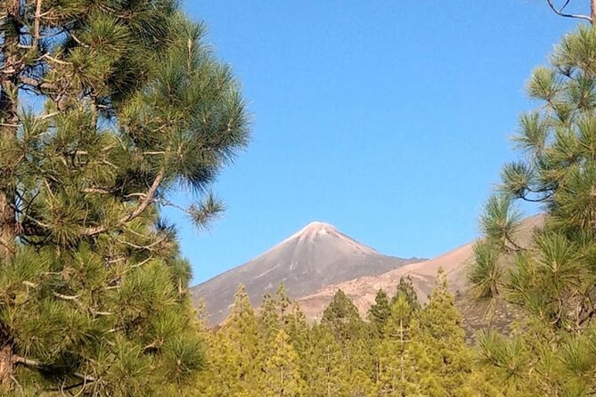 Monster Quad Teide Tour - Experience and Expectations