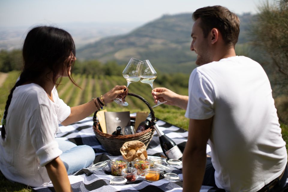 Montalcino: Vineyard Picnic With a Bottle of Wine - Itinerary Highlights