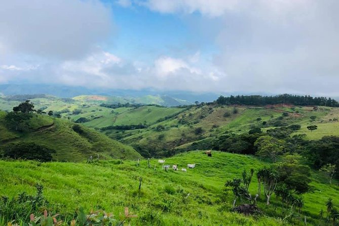 Monteverde Cloud Forest Horseback Riding - Inclusions of the Tour