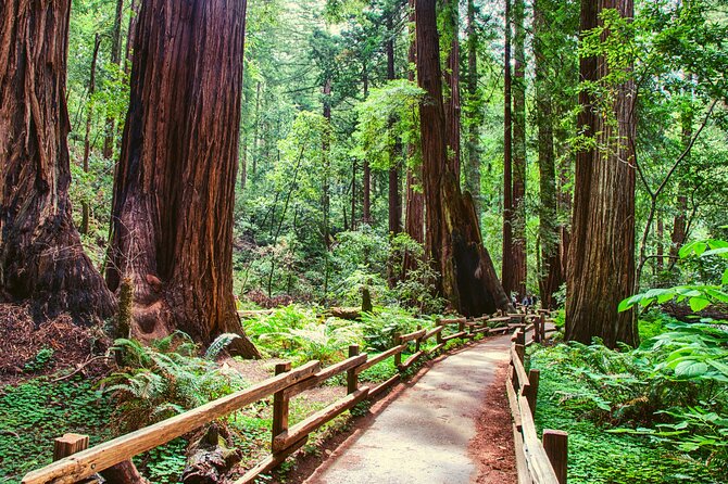 Muir Woods With Napa & Sonoma Wine Tour - Scenic Journey Highlights