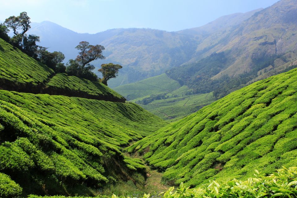 Munnar Private Day Trip - Itinerary Highlights