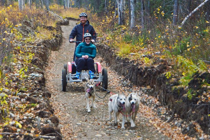 Mush Your Own Sled Dog Team (Summer/Fall Tour) - Health and Safety Guidelines