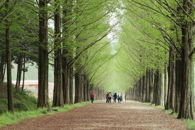 Nami Island& Petite France& Garden of Morning Calm& Italian Village One-Day Tour - Meeting and Pickup Details