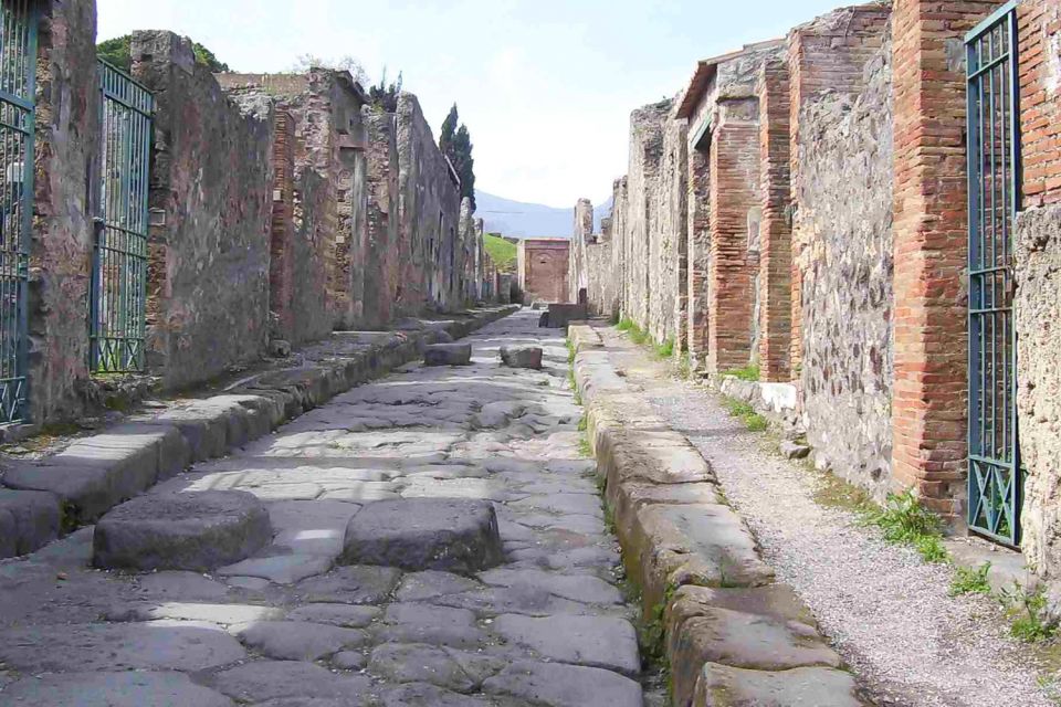 Naples and Pompeii: Half-Day Tour - Highlights of the Tour