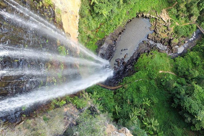 Natural Bridge & Springbrook Waterfalls Tour - Detailed Itinerary and Activities