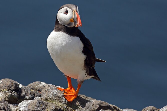 North East Coastal Trail Small Group Day Tour From Aberdeen - Transportation Details