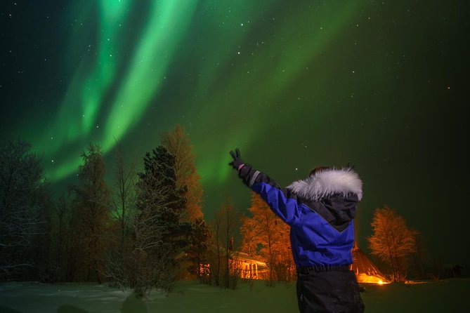 Northern Lights Tour to Lake Inari From Ivalo, Reindeers & Dinner - Northern Lights Viewing