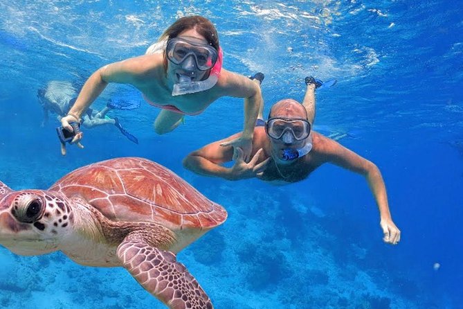 Oahu Ultimate Circle Island Tour Full Day Experience - Included Amenities and Services