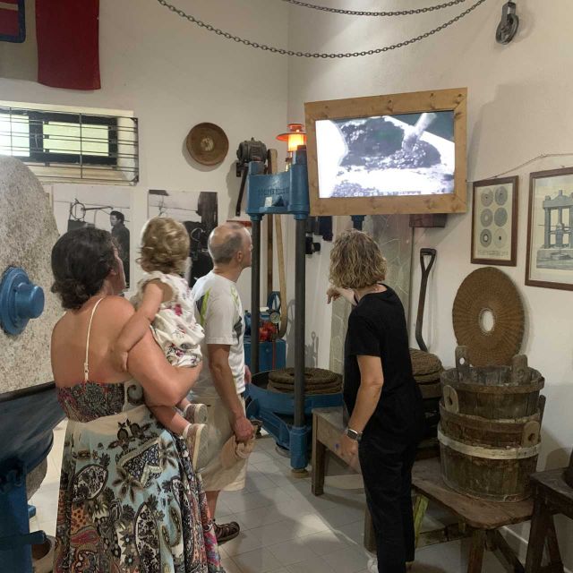 Olive Oil Museum: Extravirgin Lesson - Food & Wine Tasting - Itinerary Highlights