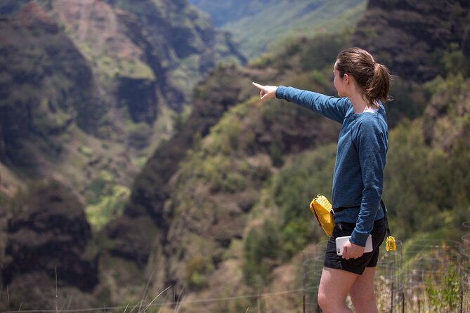 Olokele Canyon Helicopter Tour Including Canyon Landing Kauai - What to Expect During the Flight