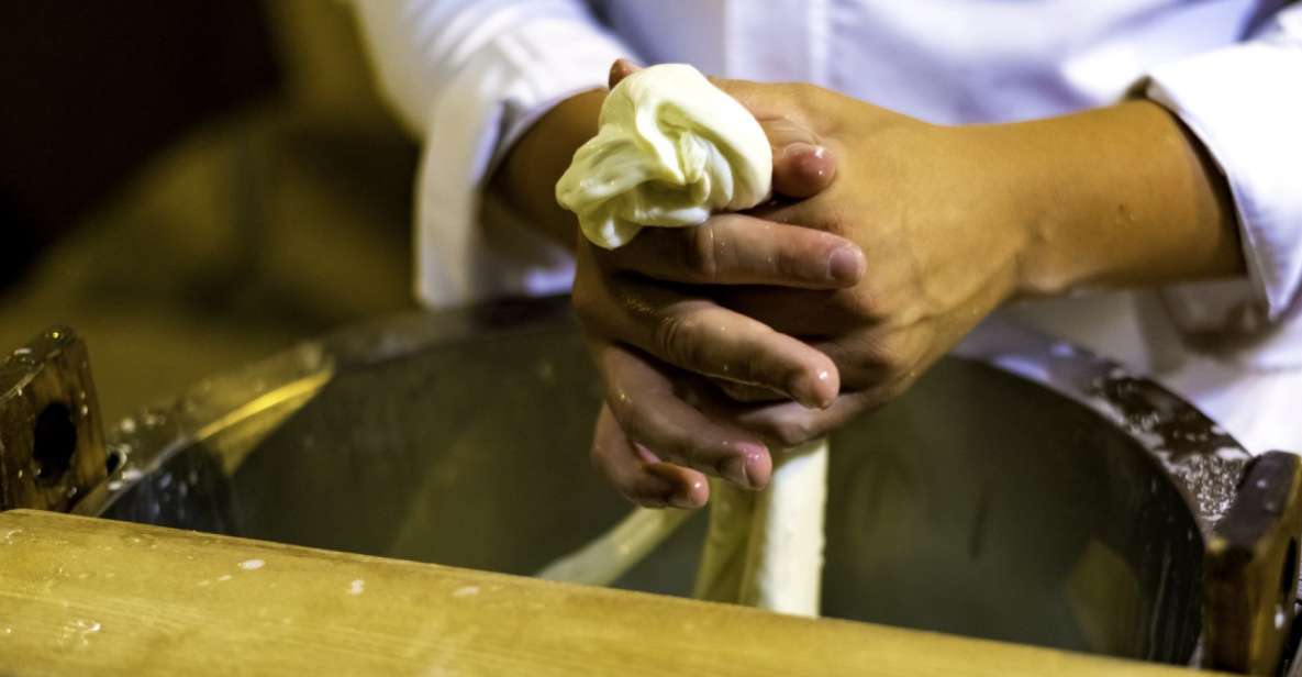 Ostuni : Discovering the Ancient Art of Cheese Making - Experience Highlights