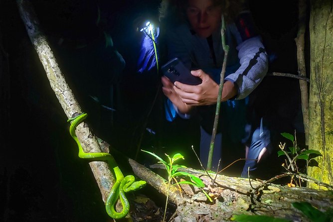 Package | Monteverde Cloud Forest + Curi-Cancha Reserve + Night Hike (Private) - Itinerary and Daily Schedule