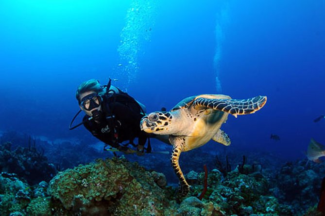 PADI Discover Scuba Diving (2 Dives & Photos) - Package Inclusions