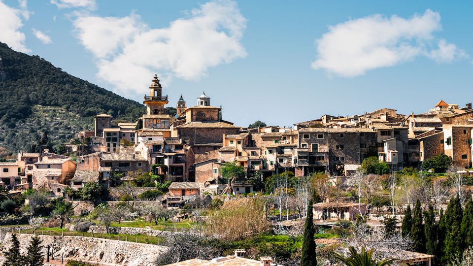 Palma: Tramuntana Full-Day Tour With Soller Train and Lunch - Train Journey