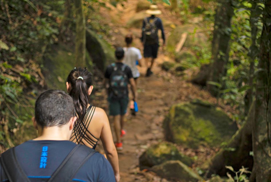 Paraty: Sono Beach Half-day Tour - Experience Nature in Paraty