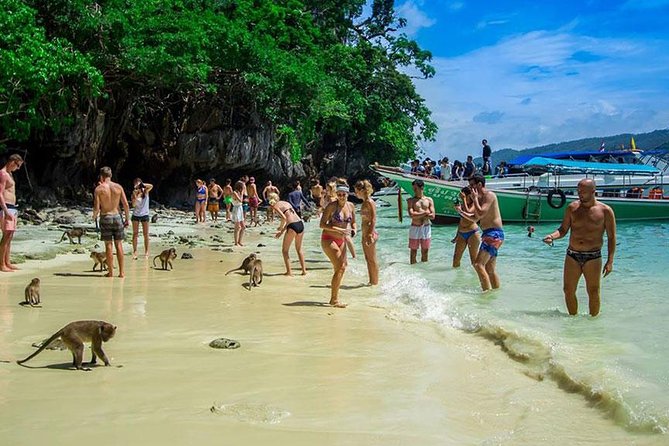 Phi Phi Island Half Day Tour From Phi Phi by Longtail Boat - Reviews and Experiences