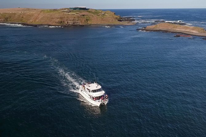 Phillip Island Seal-Watching Cruise - Cruise Route and Duration