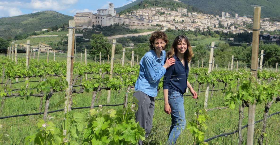 Pic Nic Deluxe Assisi and Wine Tasting 5 Wines - Experience Highlights