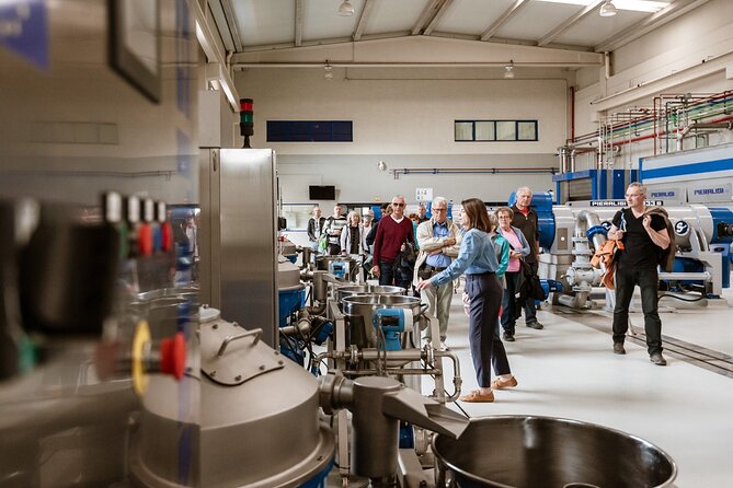 Picualia, Visit the Oil Mill & EVOO Tasting - Tasting Highlights