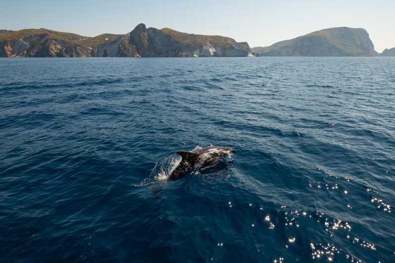 Ponza: Island & Palmarola Cruise With Swimming & Lunch - Itinerary Highlights