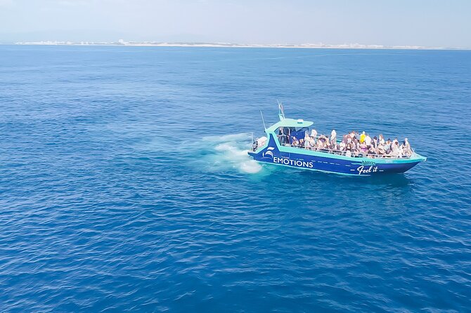 Portimão: 2H30 Guaranteed - Dolphins and Seabirds - Biologist on Board - Meeting Point Details