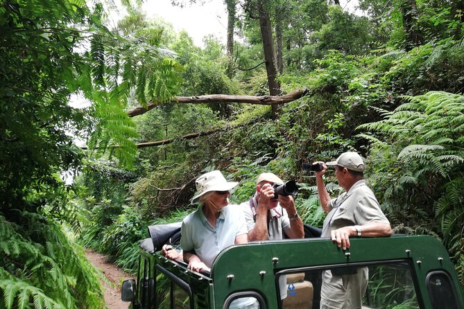 Porto Moniz - Private Full-Day - Safari 4x4 Tour - NorthWest - Unique Experiences