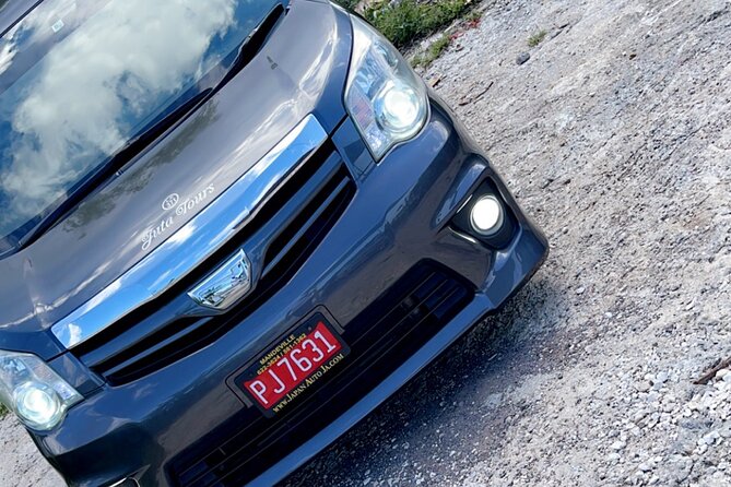 Private Airport Transfer To/From All Hotels in Negril Round Trip - Accessibility Features