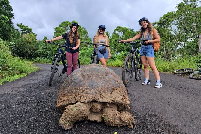 Private BiciTour Giant Tortoises and Lava Tunnel in Galapagos - Meeting and Pickup Details