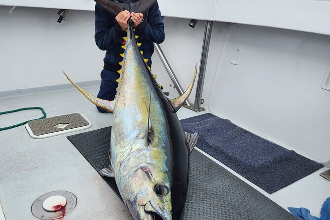 Private Big Game Fishing Charter From Tutukaka, Northland - Location Details