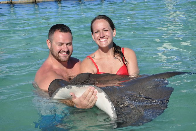 Private Caribbean Snorkeling Cruise At Punta Cana & Sharks, Stingray Encounter - Inclusions and Amenities