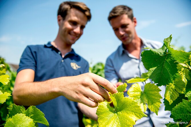 Private Champagne Tour, Family Growers and Lunch - Inclusions and Pricing Details