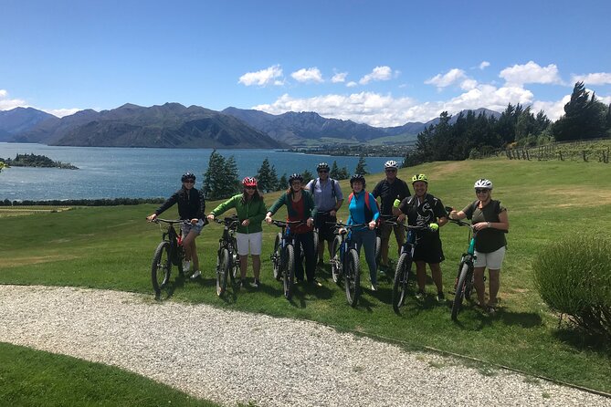 Private E-Bike Wine Tour in Wanaka - Wine Tasting Experience