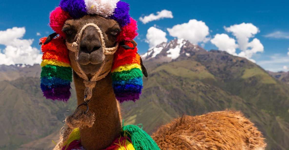 Private From Cusco| Alpaca Therapy + Creative Craftsmanship - Itinerary Details