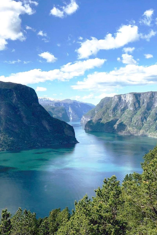 Private Guided Tour - Nærøyfjord Cruise and Flåm Railway - Itinerary Highlights